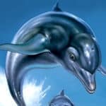Ecco the Dolphin ist zurück und bekommt nicht nur Remaster, sondern ein komplett neues Spiel