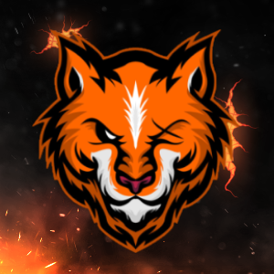 Profilbild von Niklas_RCL